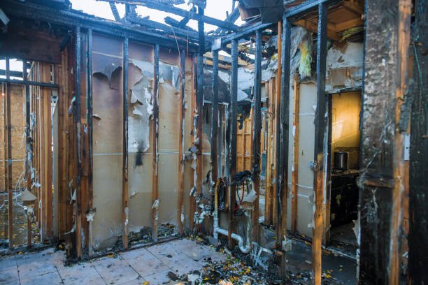 Professional Odor Removal technician working in Foreston, MN