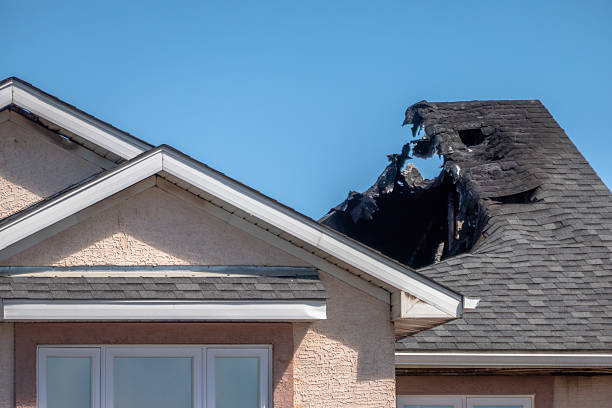 Top rated local Odor Removal specialists in Foreston, MN
